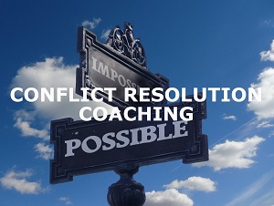 Conflict Coaching Rudnick Life Vision